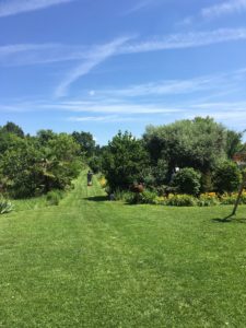 giardino brianza